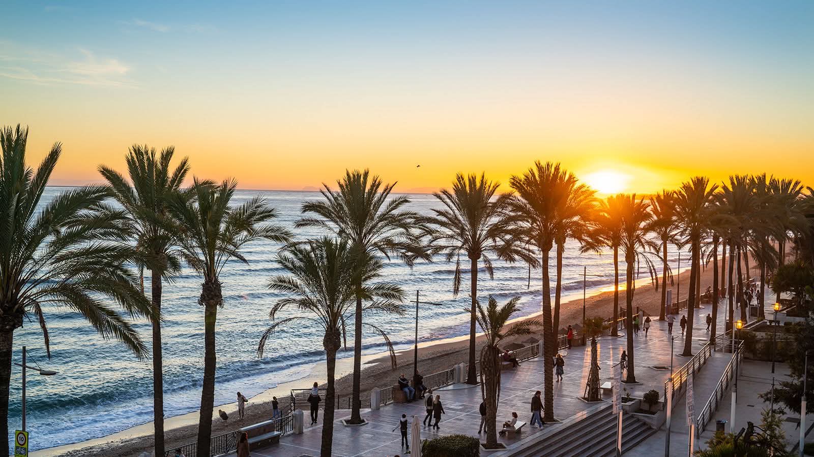 Palm-lined Marbella beach promenade at sunset